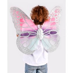 Alas de Mariposa Multicolor