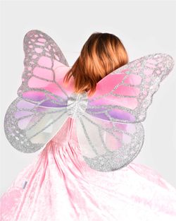 Alas de Mariposa Multicolor