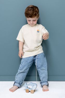 Arrastre de madera - Mr. Shark