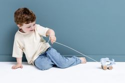 Arrastre de madera - Mr. Shark