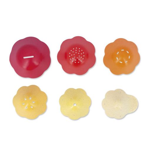 Bernard y Su Caparazón