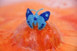 BOMBA DE BAÑO Sorpresa Mariposa 1x100gr