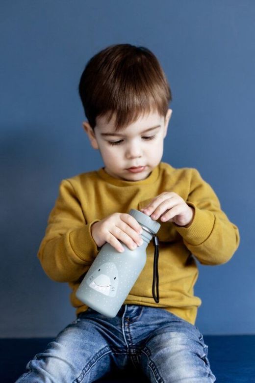 Botella Sr. Tiburón 350ml Trixie