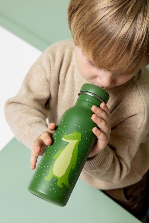 Botella Sr.Cocodrilo 500ml -Trixie