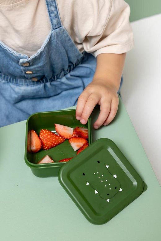 Caja de almuerzo 3pcs Sr.Cocodrilo- Trixie