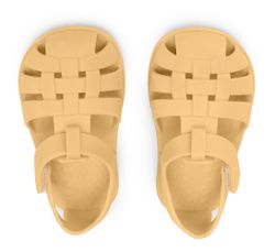 Cangrejeras colección animales