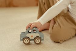 COCHE DE POLICIA FSC LITTLE DUTCH