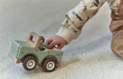 Coche safari