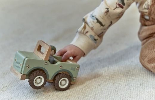Coche safari