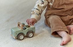 Coche safari