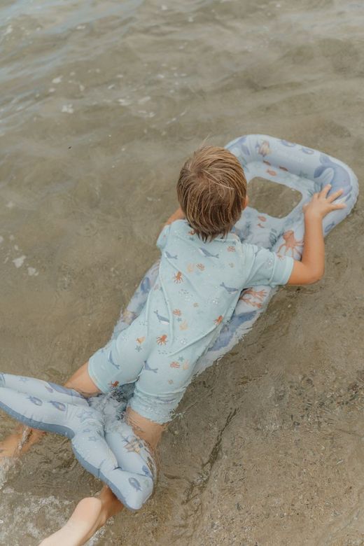 Colchoneta cola ballena