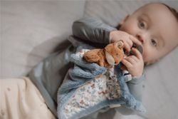 Dou dou zorro forest friends