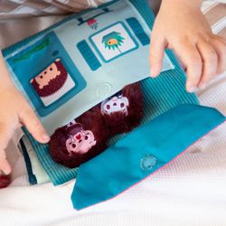 El libro de las emociones