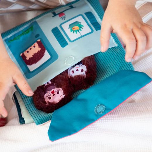 El libro de las emociones