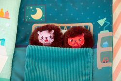 El libro de las emociones