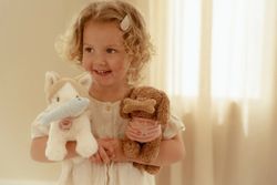 Gato Marley Little Dutch