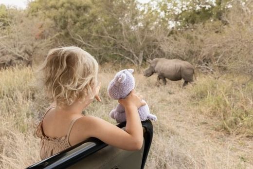 Hipopótamo safari