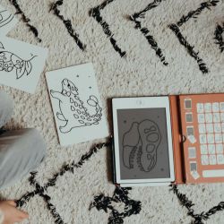 KIDYDRAW-MINI-Dinos-Kidywolf