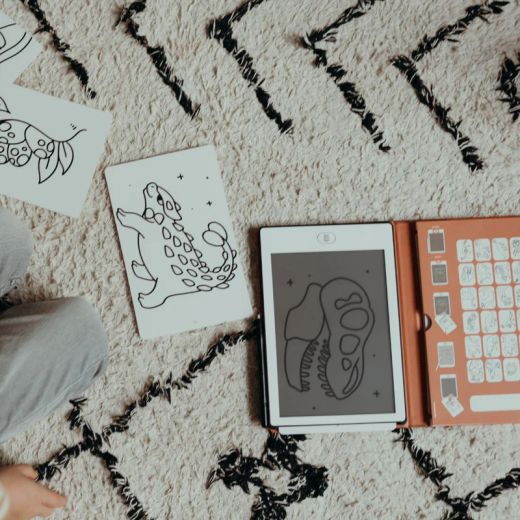 KIDYDRAW-MINI-Dinos-Kidywolf