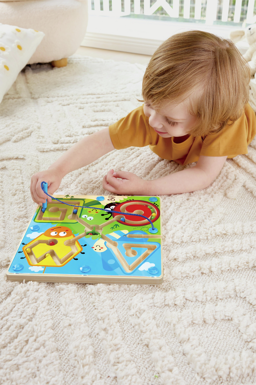 Laberinto magnético insecto