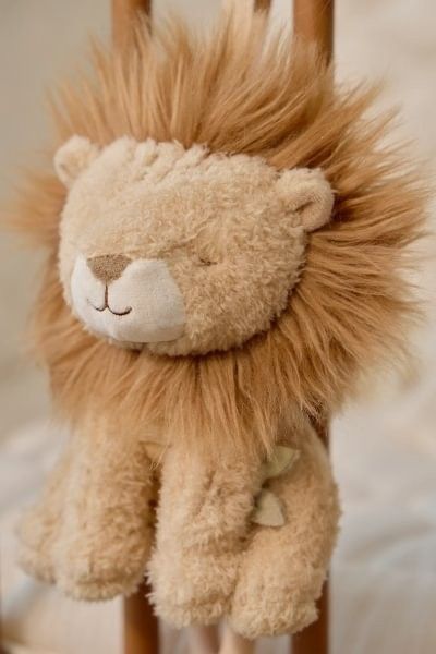 León musical safari