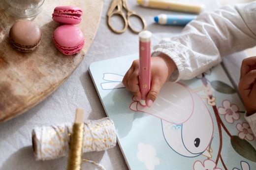 LIBRO MÁGICO JARDÍN DE ROSA CON LÁPICES