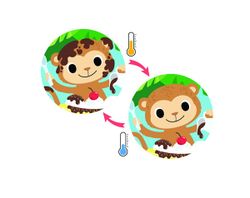 Libro mágico la jungla