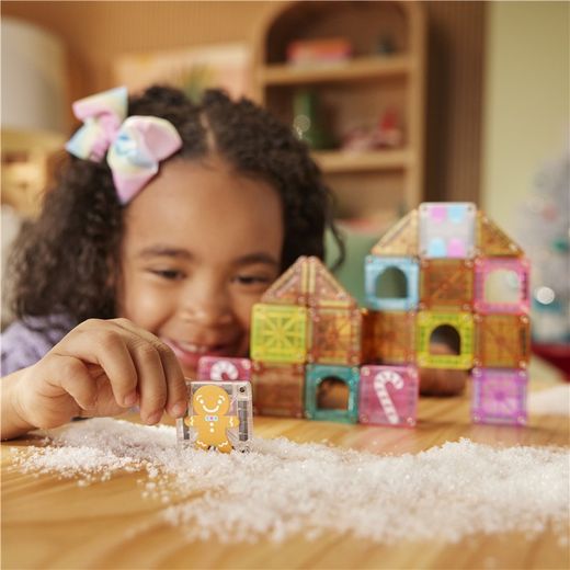 MAGNA-T Travel Gingerbread House