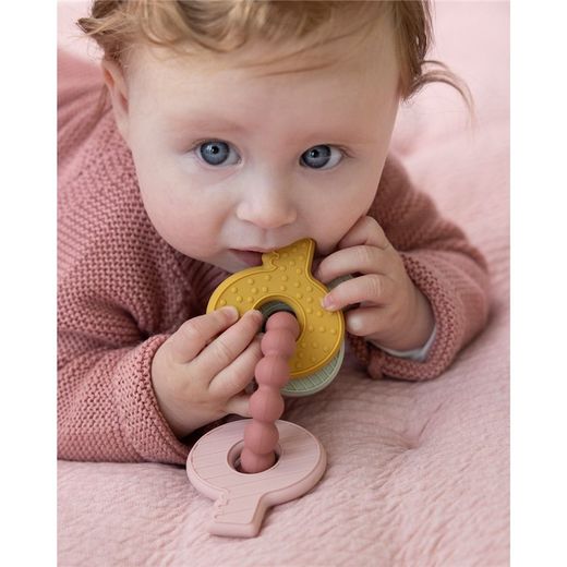 Mordedor Llavero Silicona Rosa