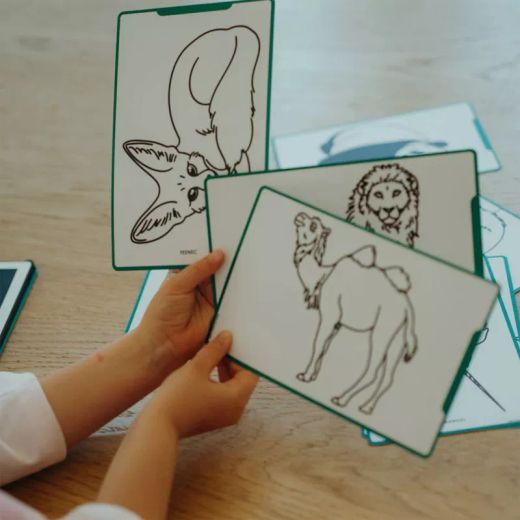 Plantillas KDYDRAWM Animales del mundo/Piratas