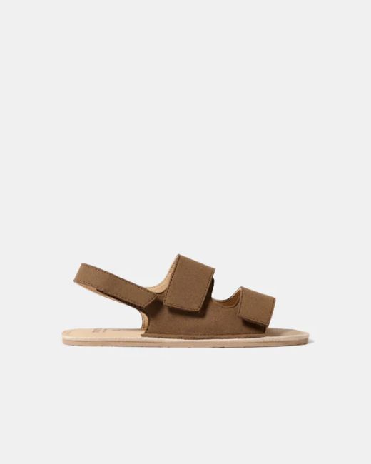 Rio junior bark brawn