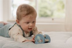 Roller Forest Friends