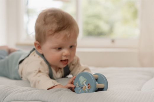 Roller Forest Friends