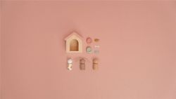 Set mascotas Little Dutch