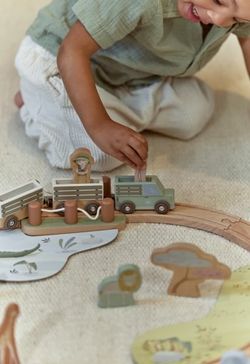 sistema de tren safari
