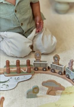 sistema de tren safari
