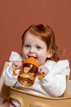 Taza Tritán con Asas Zorro