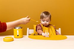 Termo sólidos león 350ml- Trixie