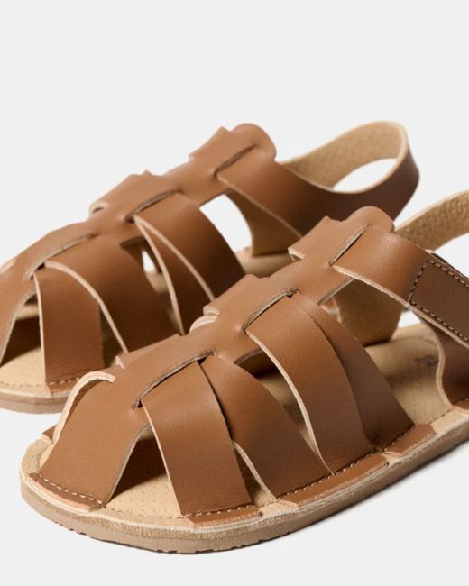 Tunis mini walnut brown