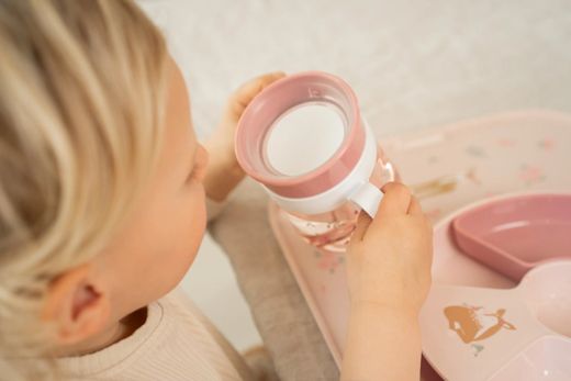 VASO ANTIDERRAME 360º 200 ML FAIRY GARD