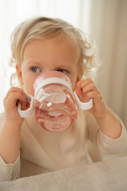 VASO ANTIDERRAME 360º 200 ML FAIRY GARD