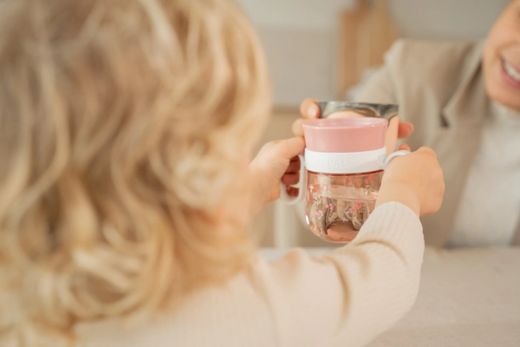 VASO ANTIDERRAME 360º 200 ML FAIRY GARD